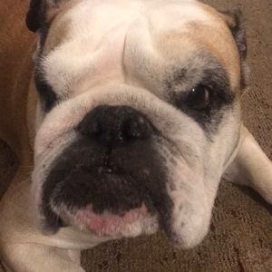 Meet your Posher, Seok